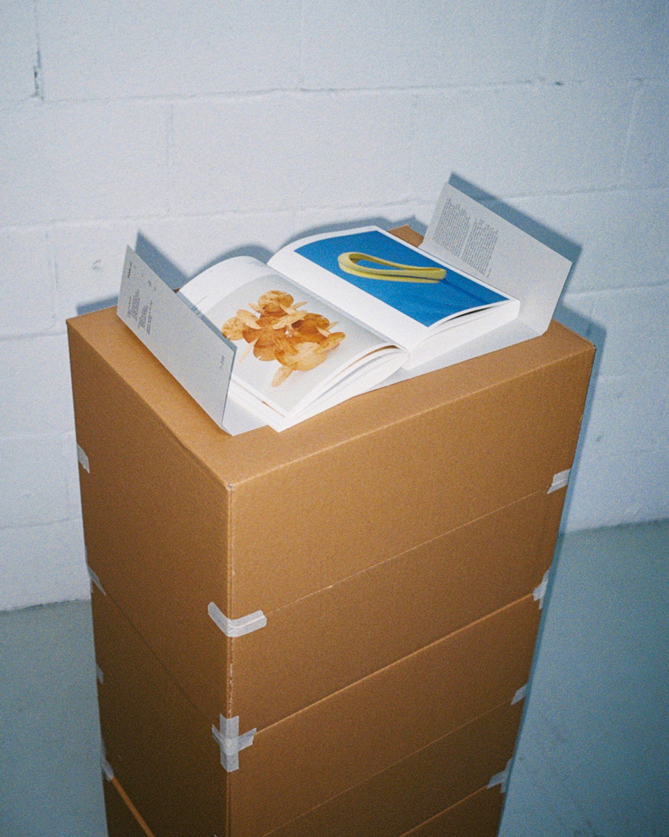 bastida_pau_geis_contemporary_hyloshapes_5